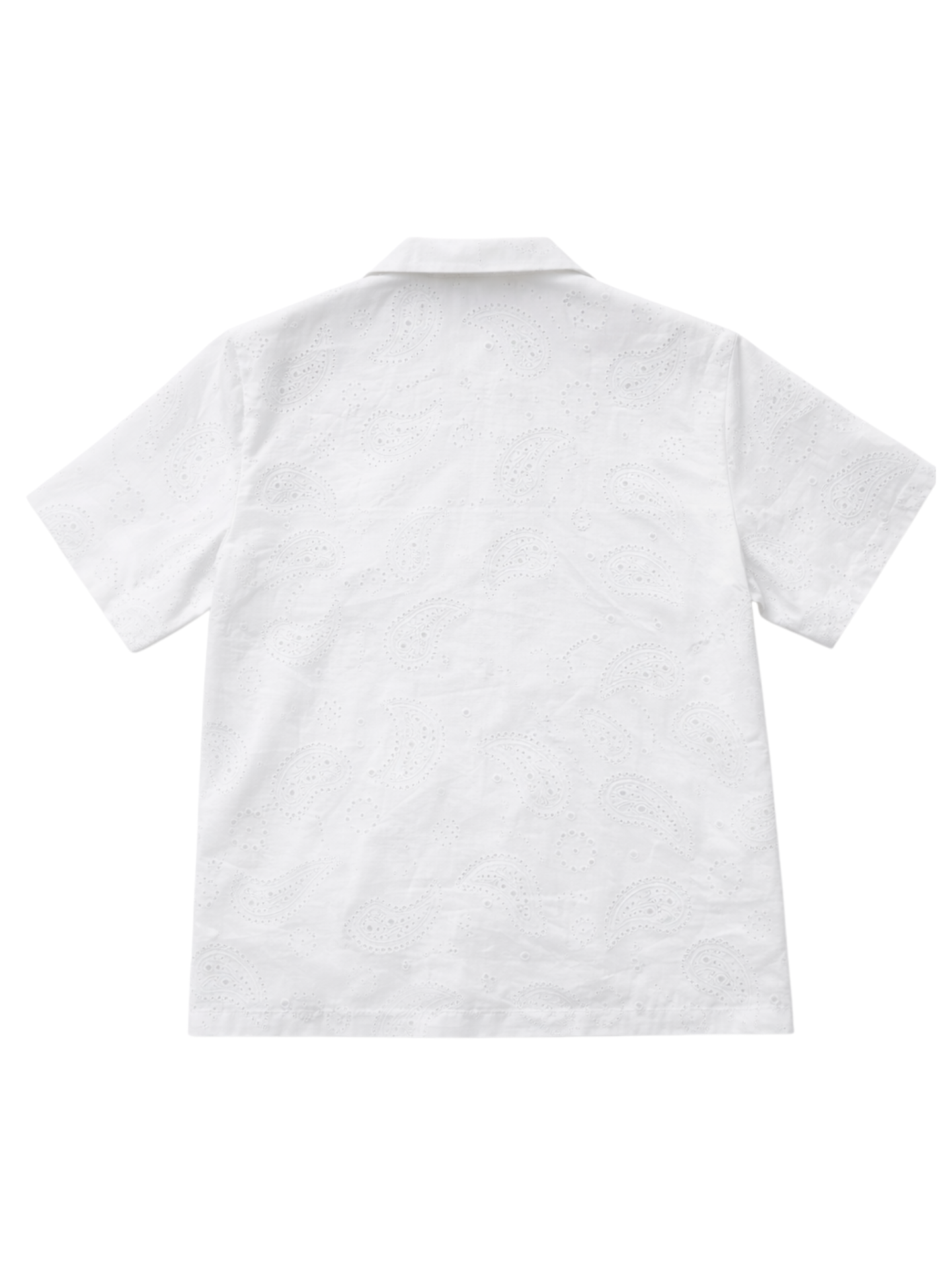 Jacquard Paisley Button Down (L)