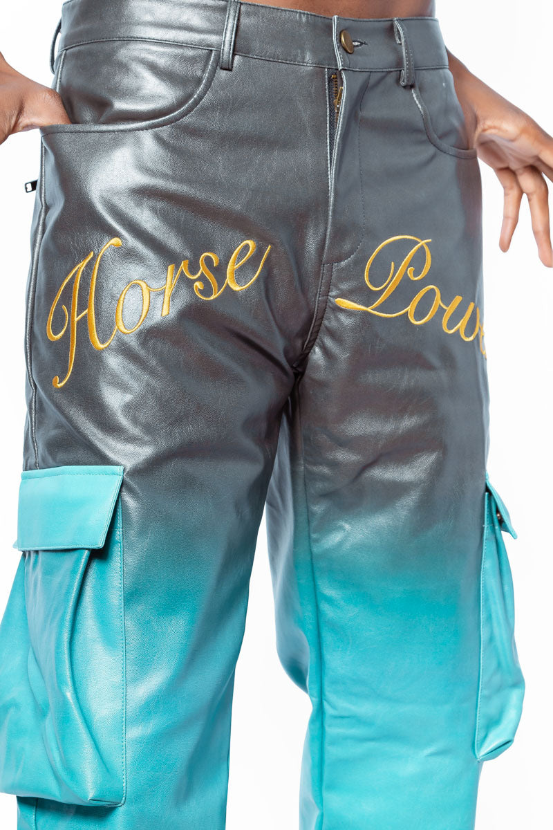 Horse Power Leather Pants